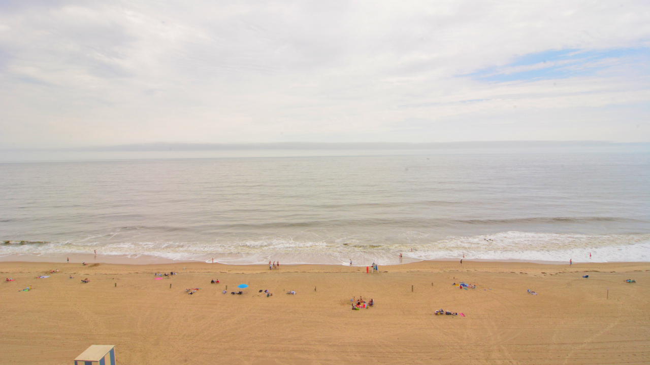 Beach View