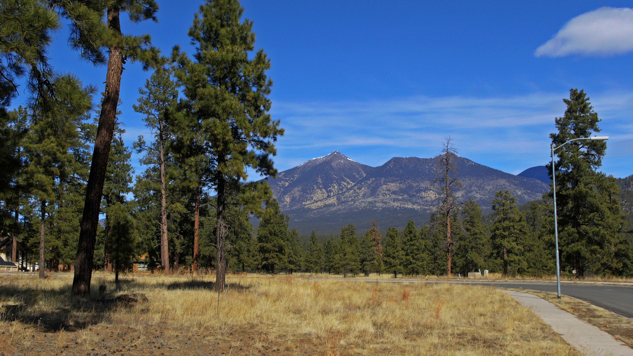 Front Yard View