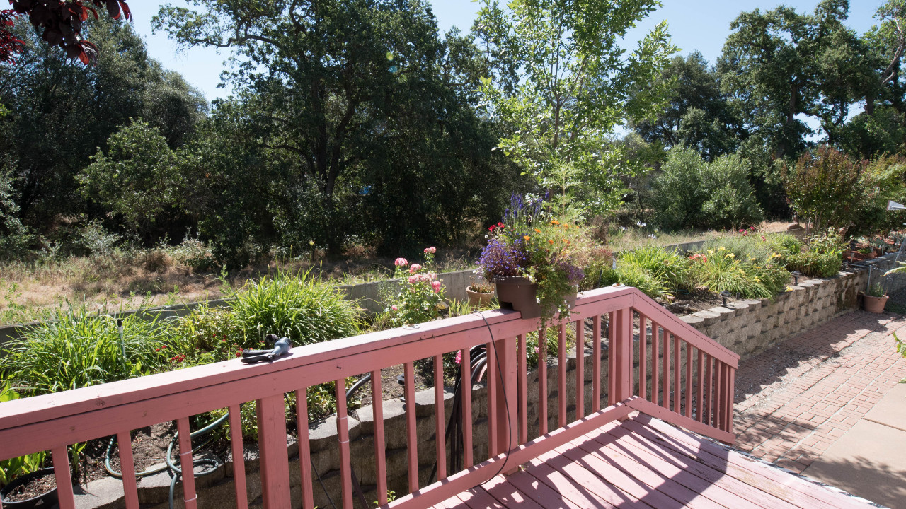 View from Deck