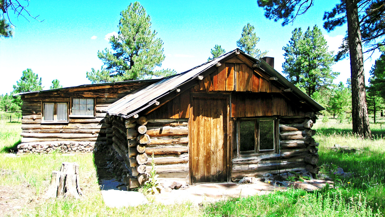 Log Cabin 4