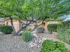 Beautiful Lush Front Yard