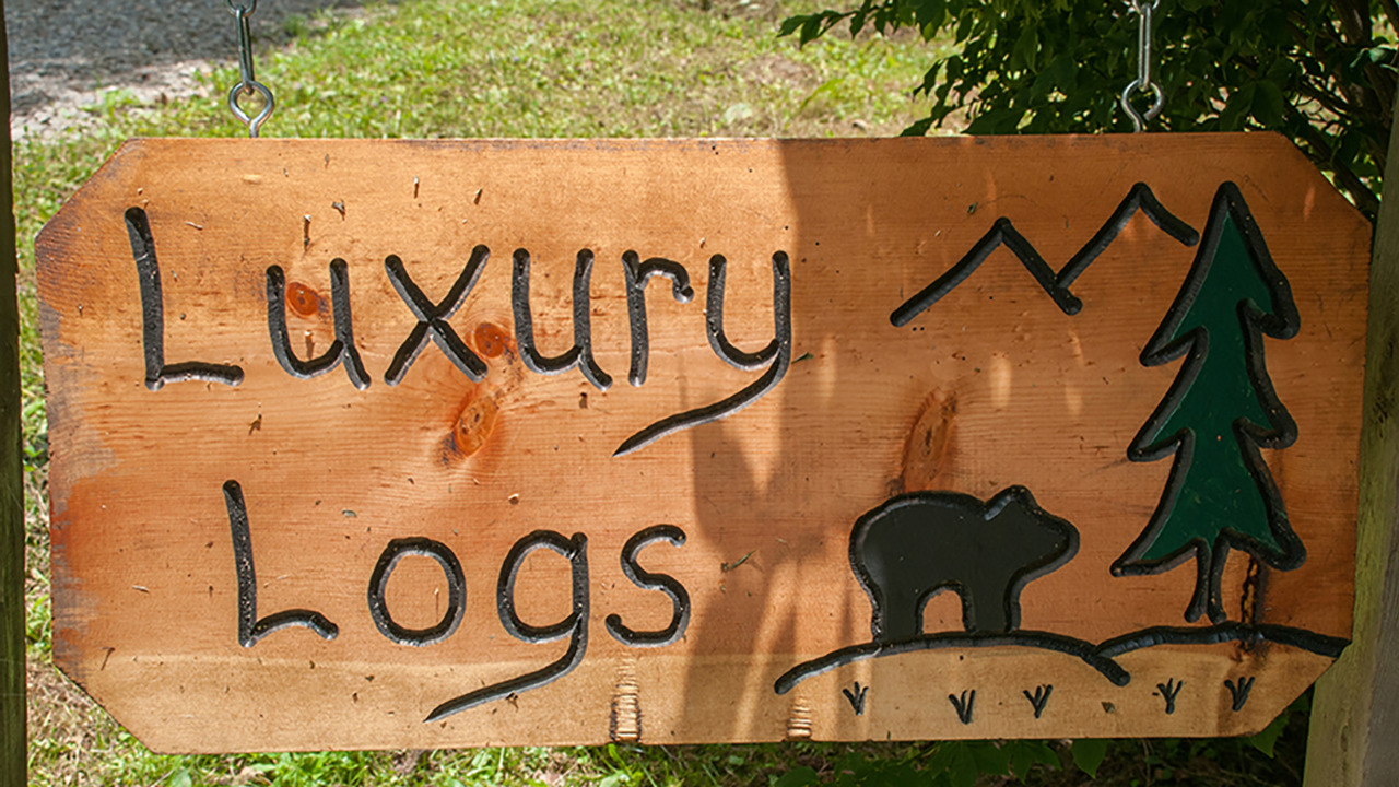 Luxury Logs, Maggie Valley, NC, 28751 Scene 1