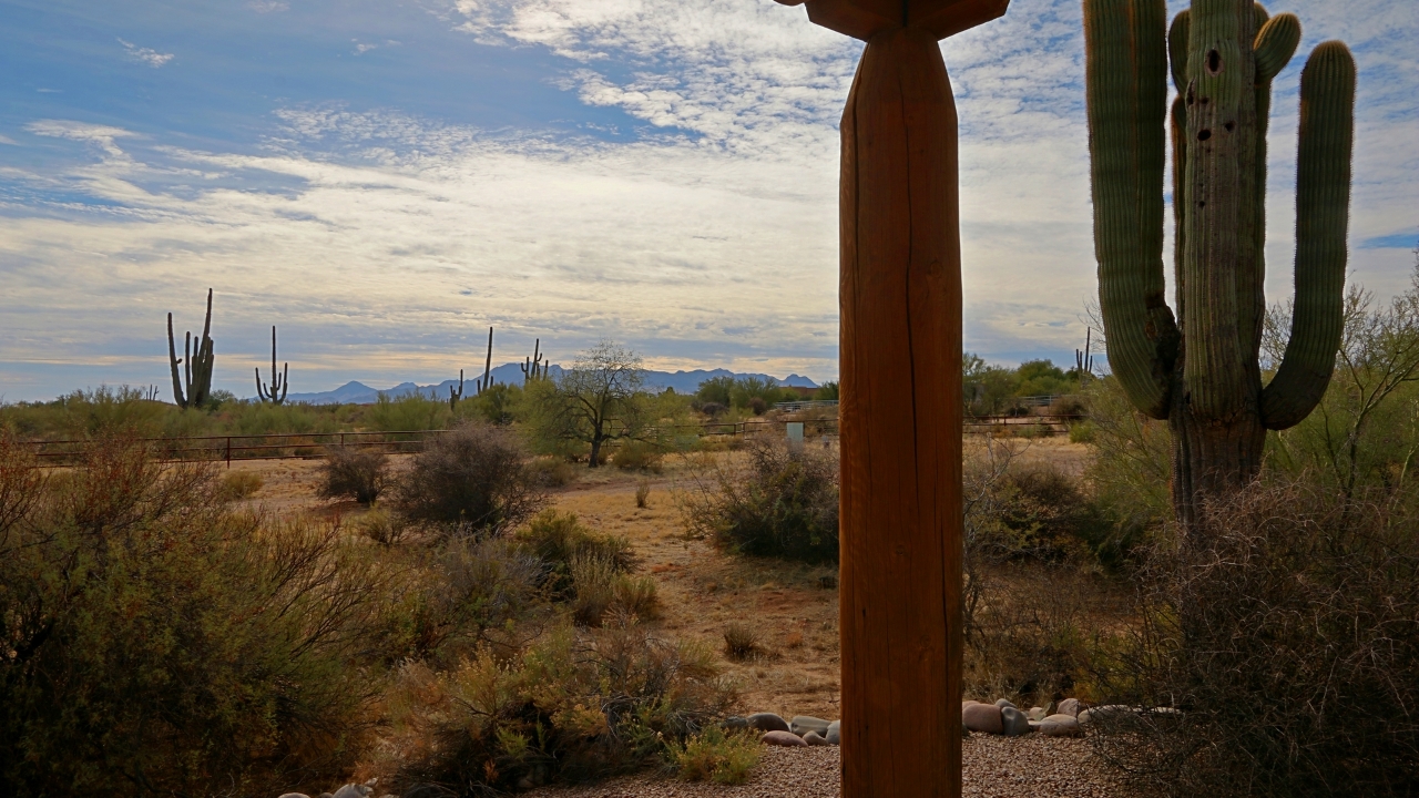 View from Front Porch