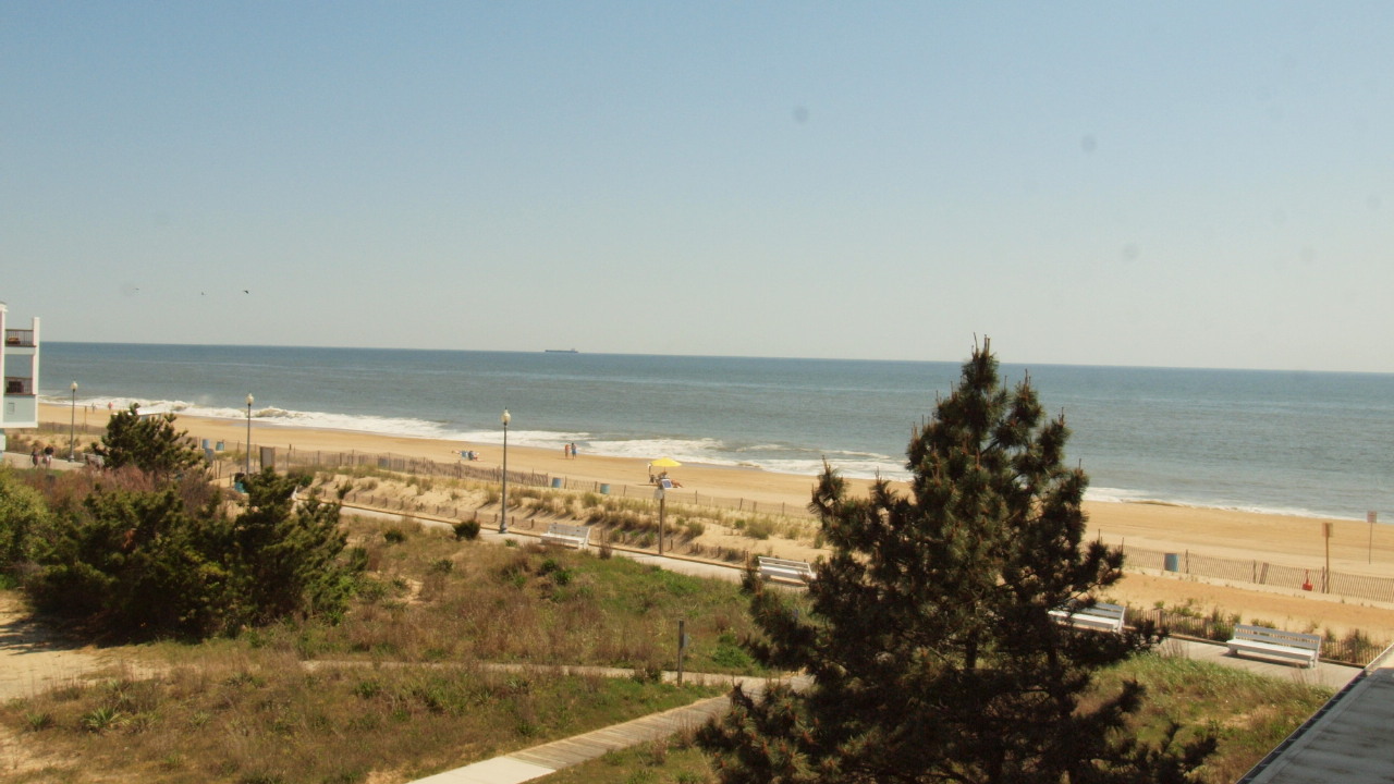 View of the Beach