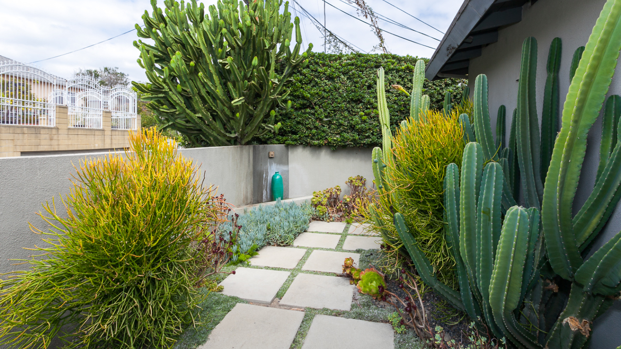 Front Patio