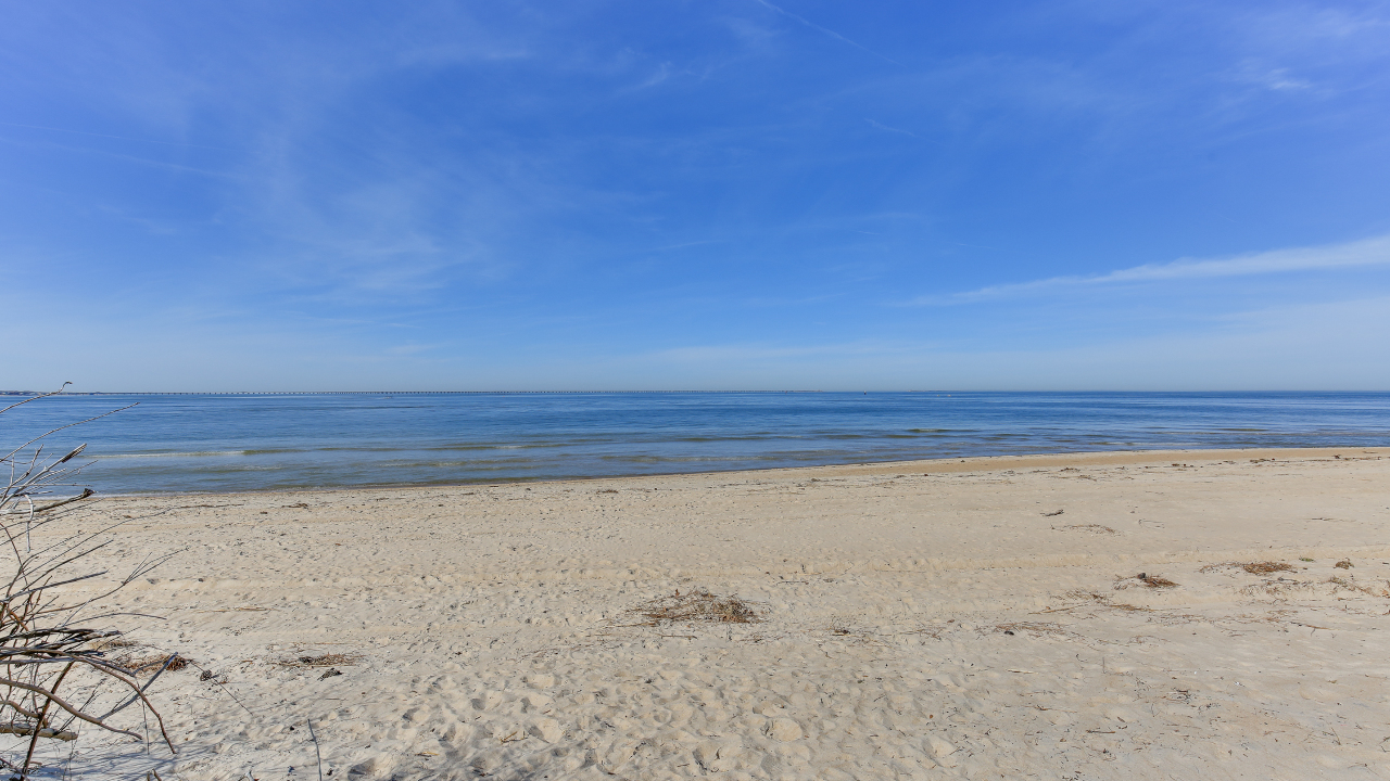 Beach View