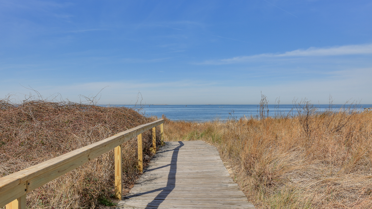 Beach Access