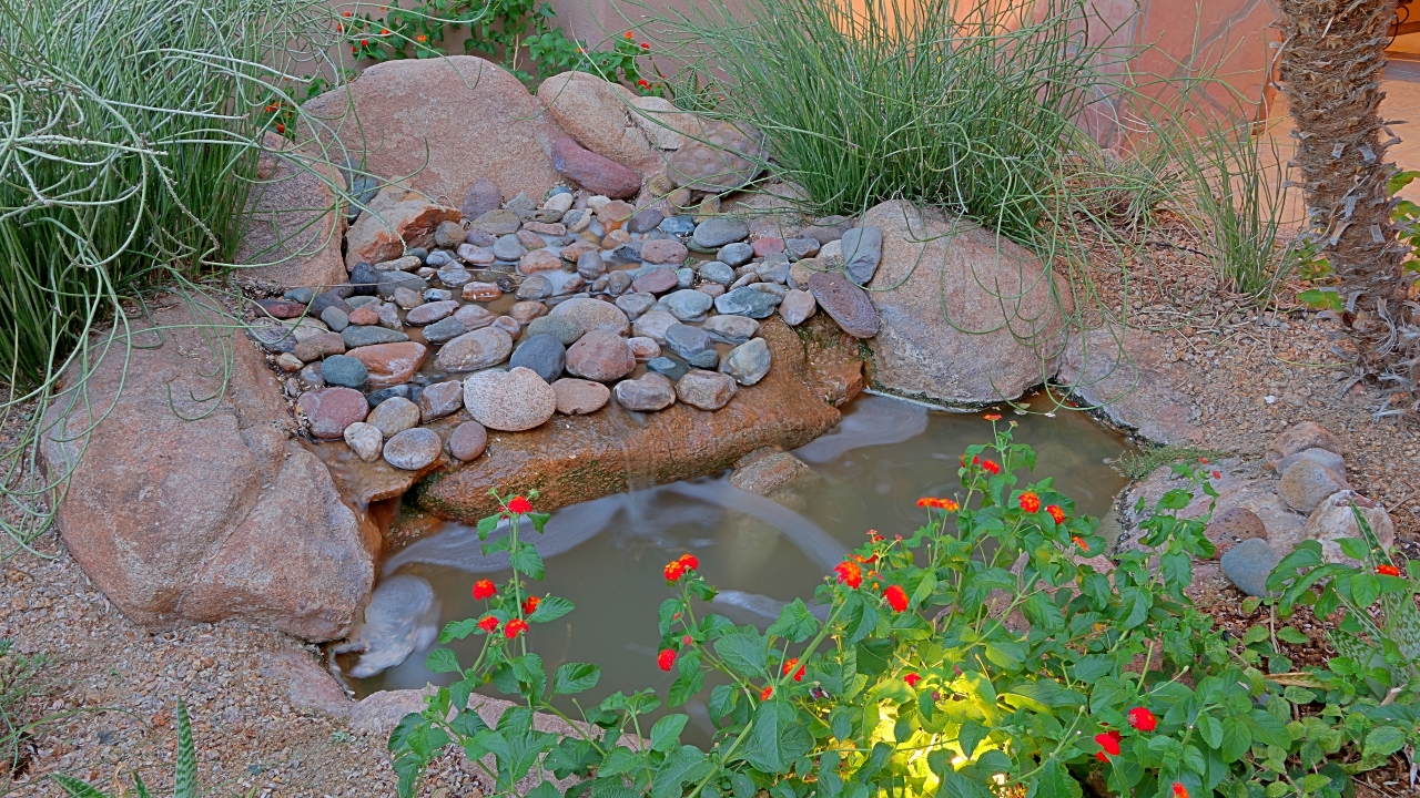 Courtyard Pond