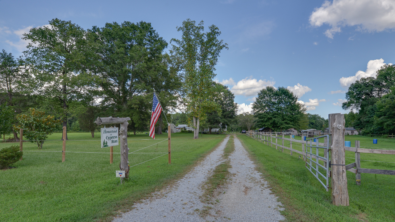 Driveway