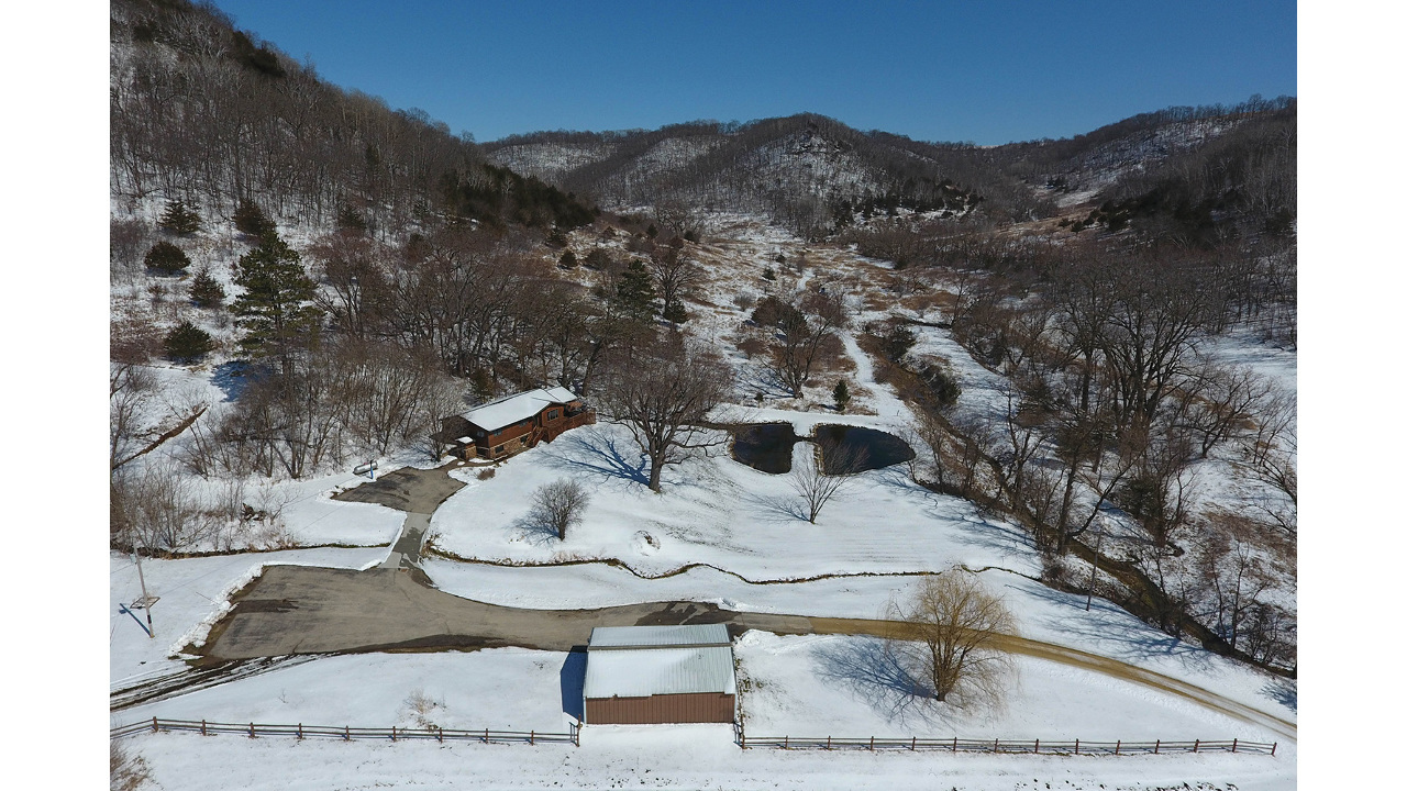 Watercrest Aerial