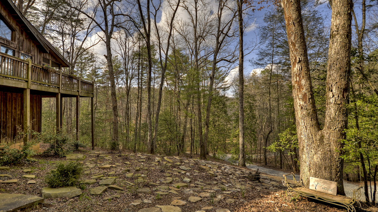 1 Cadmans Hammock, Blue Ridge, GA, 30513 Scene 2