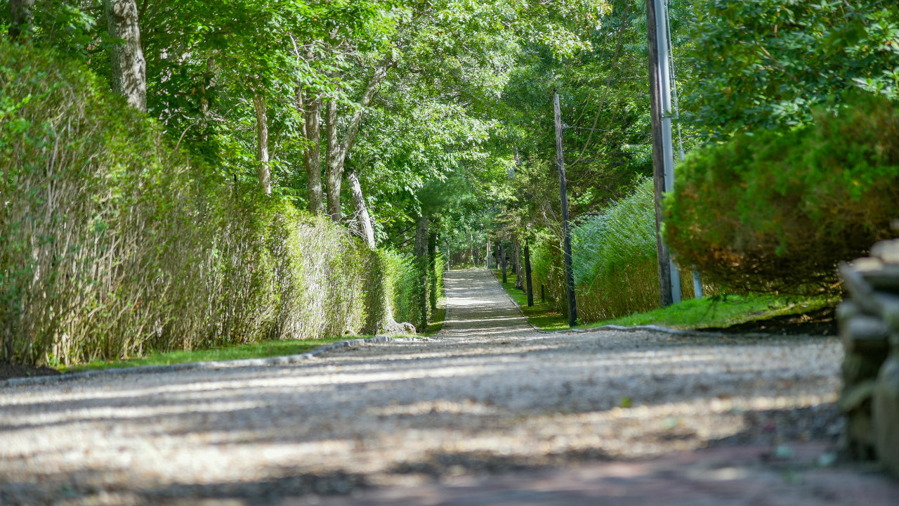 Driveway