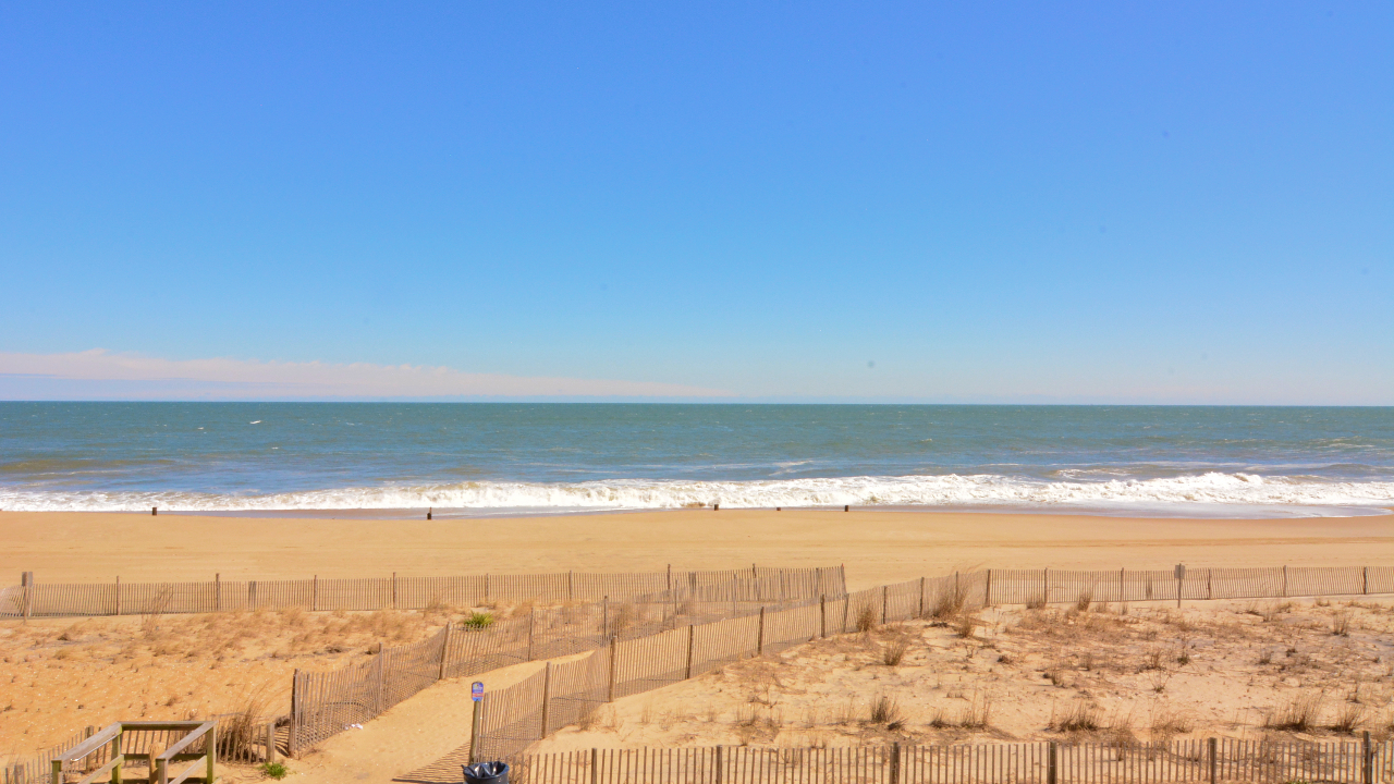 Beach View