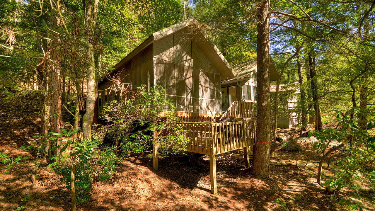 Whitewater Path, Ellijay, GA, 30540 Scene 1