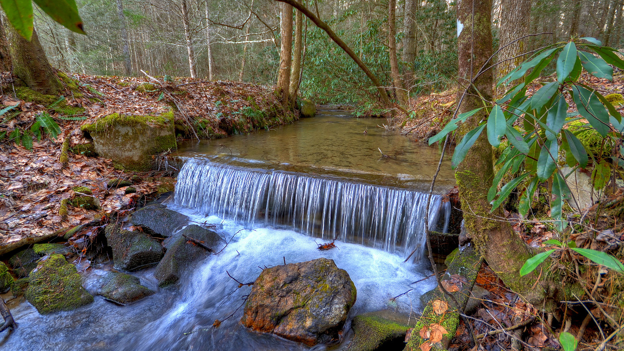 Buck Creek, Blue Ridge, GA, 30513 Scene 3