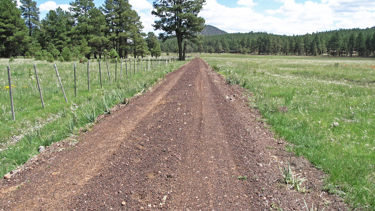 Entrance Road