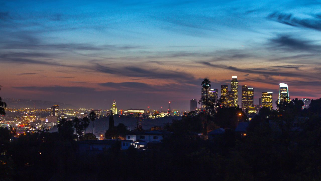 Downtown LA View 