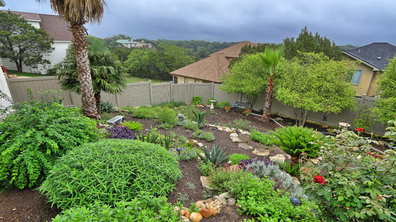 Backyard View