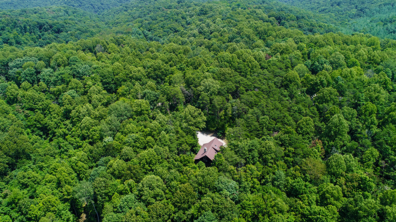 Hocking Hills, South Bloomingville, OH, 43152 Scene 2