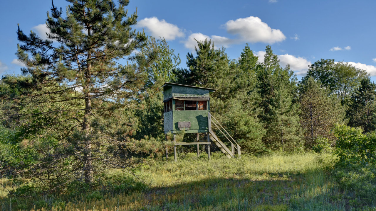 Deer Blind