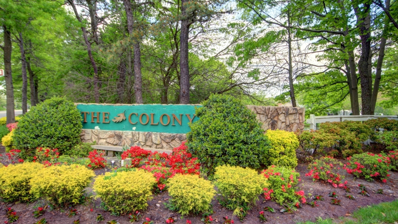 The Colony-Gated Community