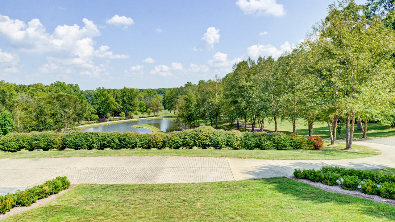 View From Master Bedroom