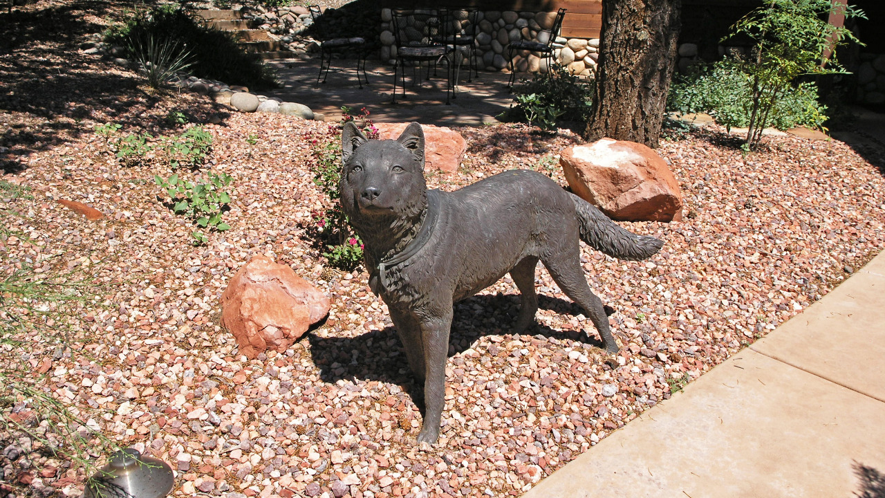 Coyote Statue