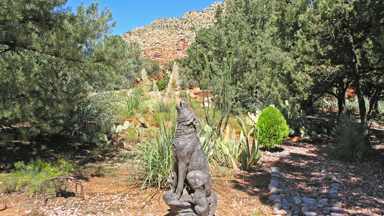 Coyote Statue 2