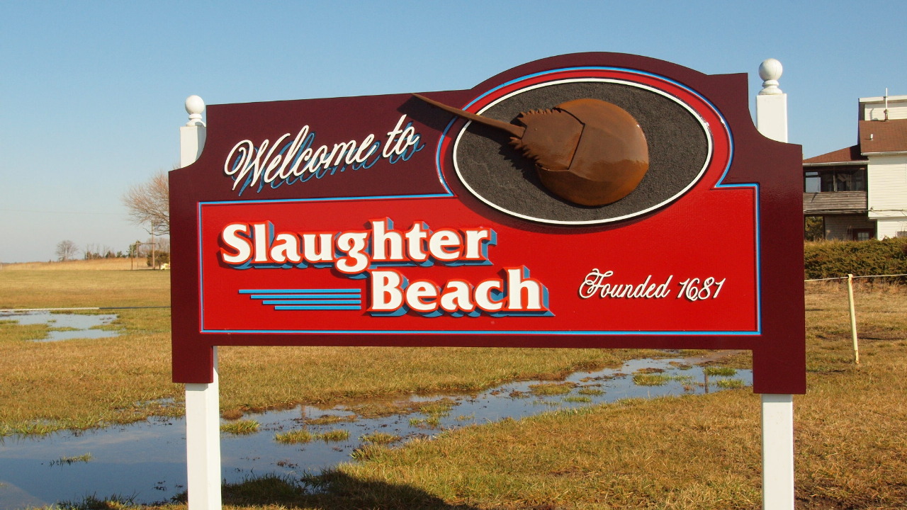 Welcome to Slaughter Beach