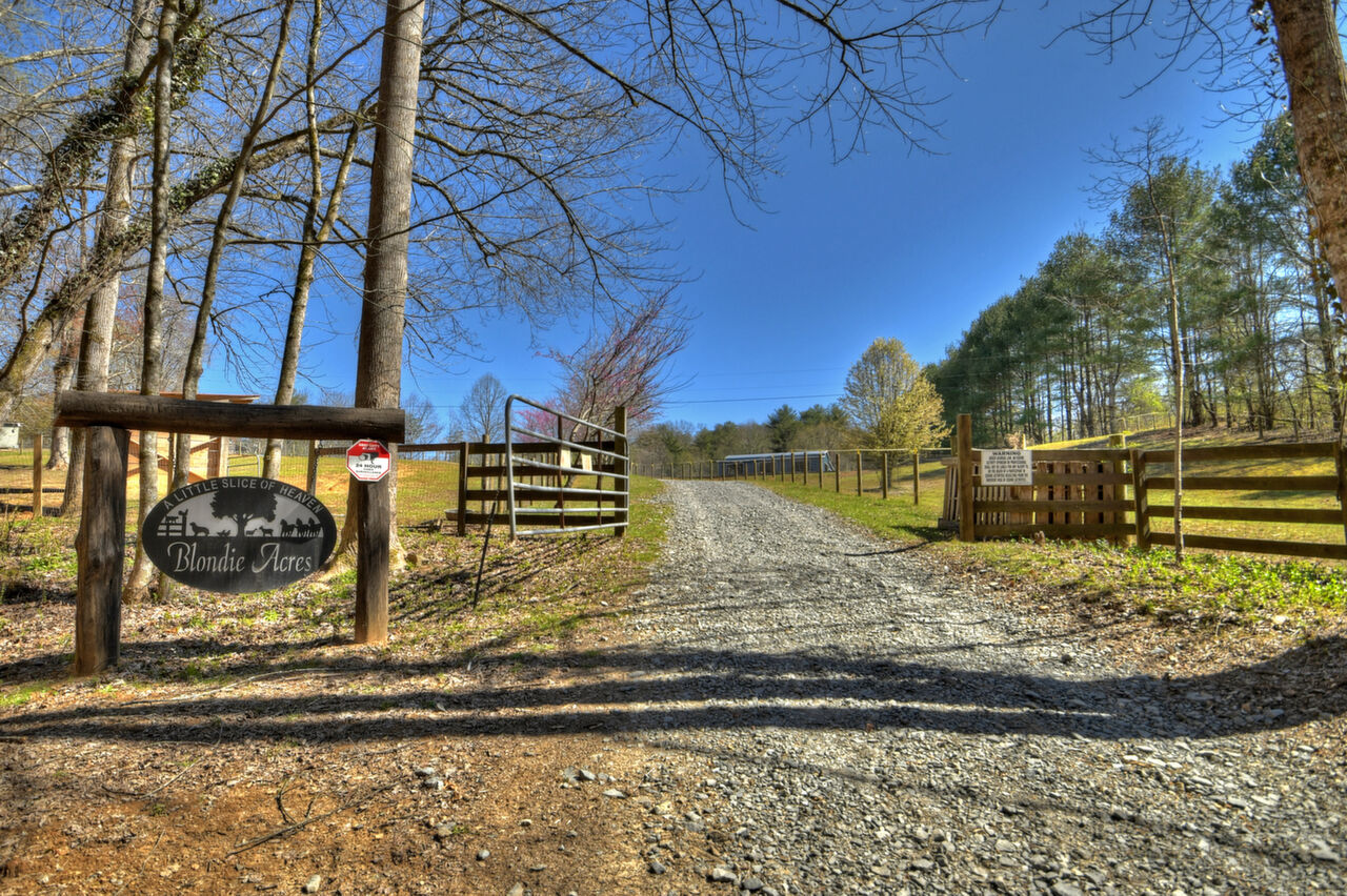 2897 Goose Island rd, Ellijay, GA, 30540 Scene 1