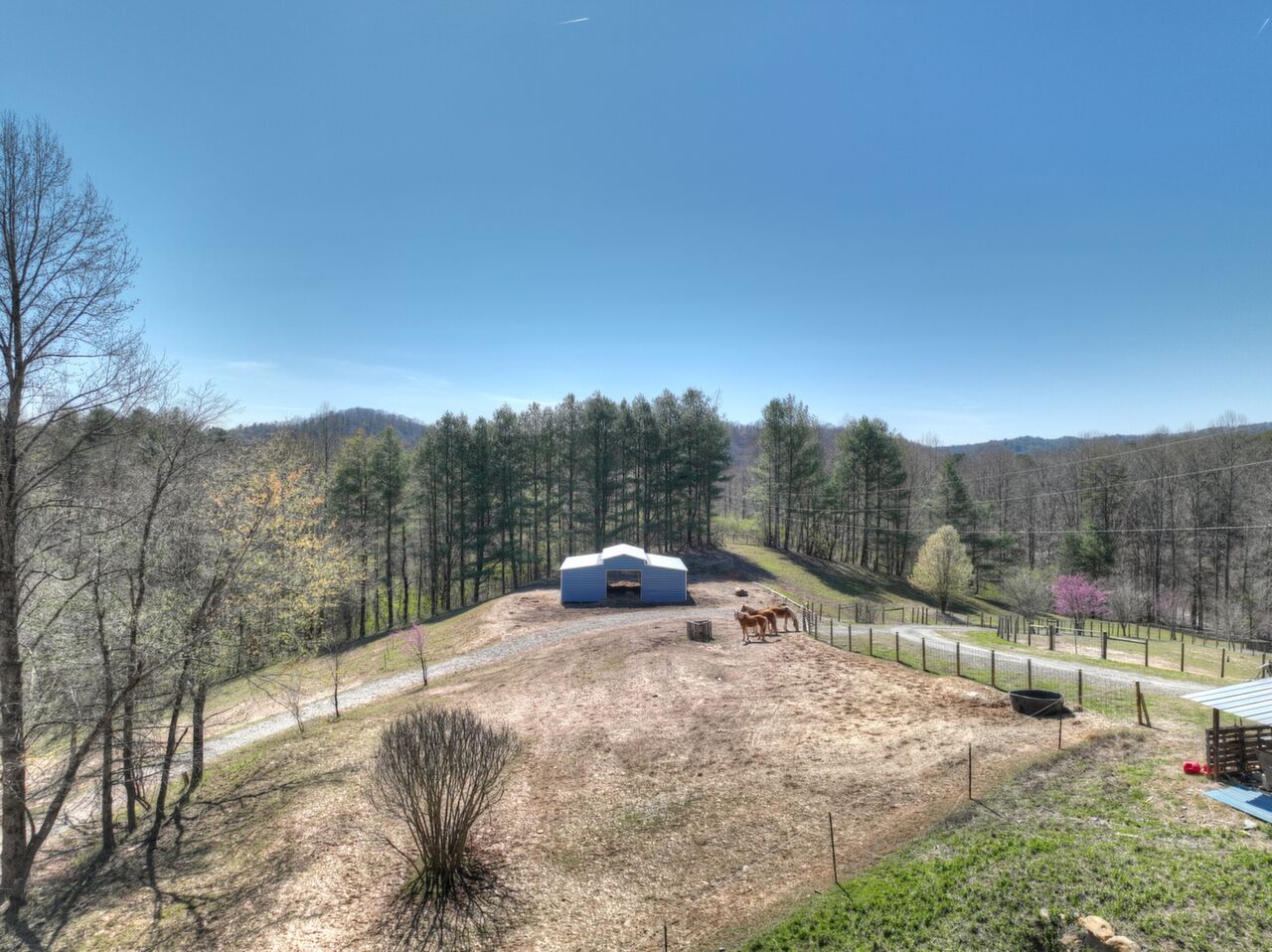 2897 Goose Island rd, Ellijay, GA, 30540 Scene 3