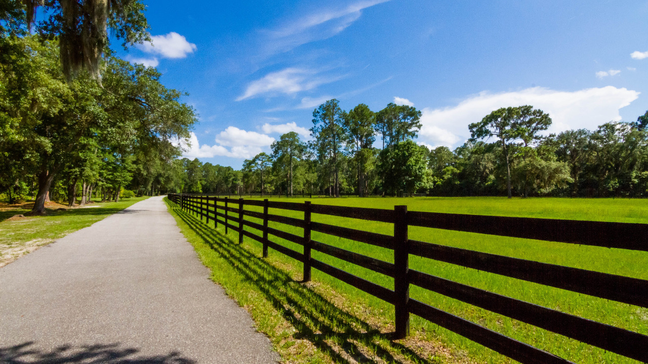 5 Fenced Paddocks & 1,800' Drive