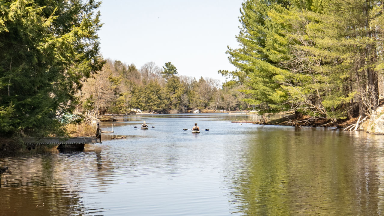 2728 MacLean Lake, Coldwater, ON, L0K 1E0 Scene 4