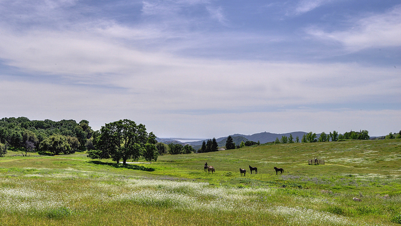 2210 Equestrian Way, Pilot Hill, CA, 95664 Scene 1