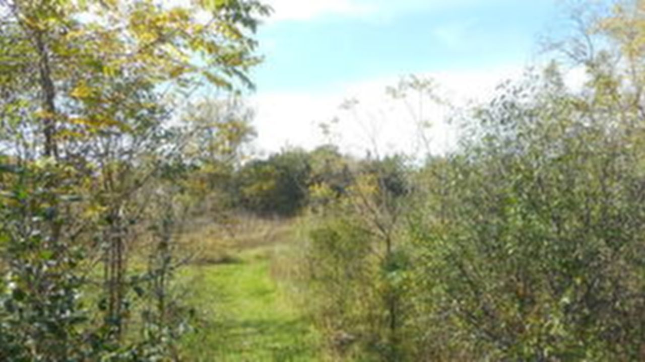 Lot 2 East River Bay Rd, Waterford, WI, 53185 Scene 2