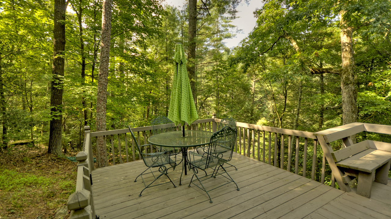 263 Indian Cave rd, Ellijay, GA, 30540 Scene 4