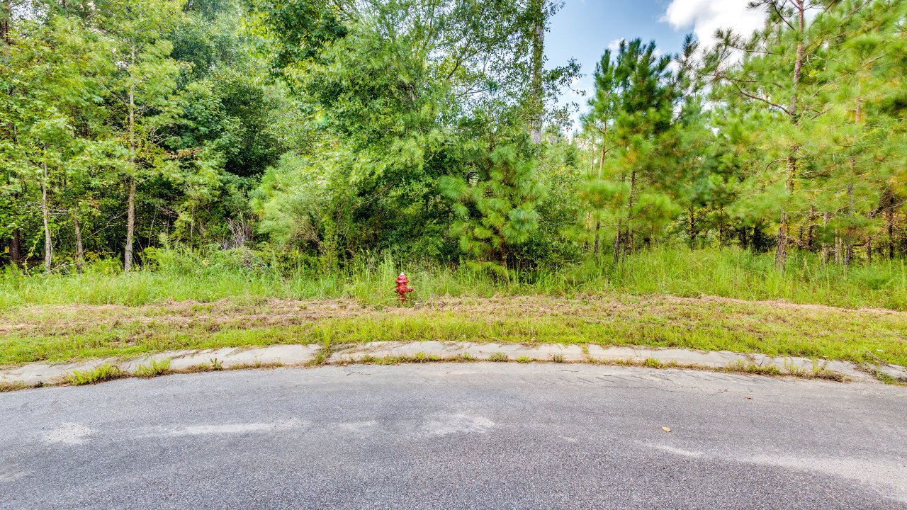 Myrtle Grove Plantation Lot 12