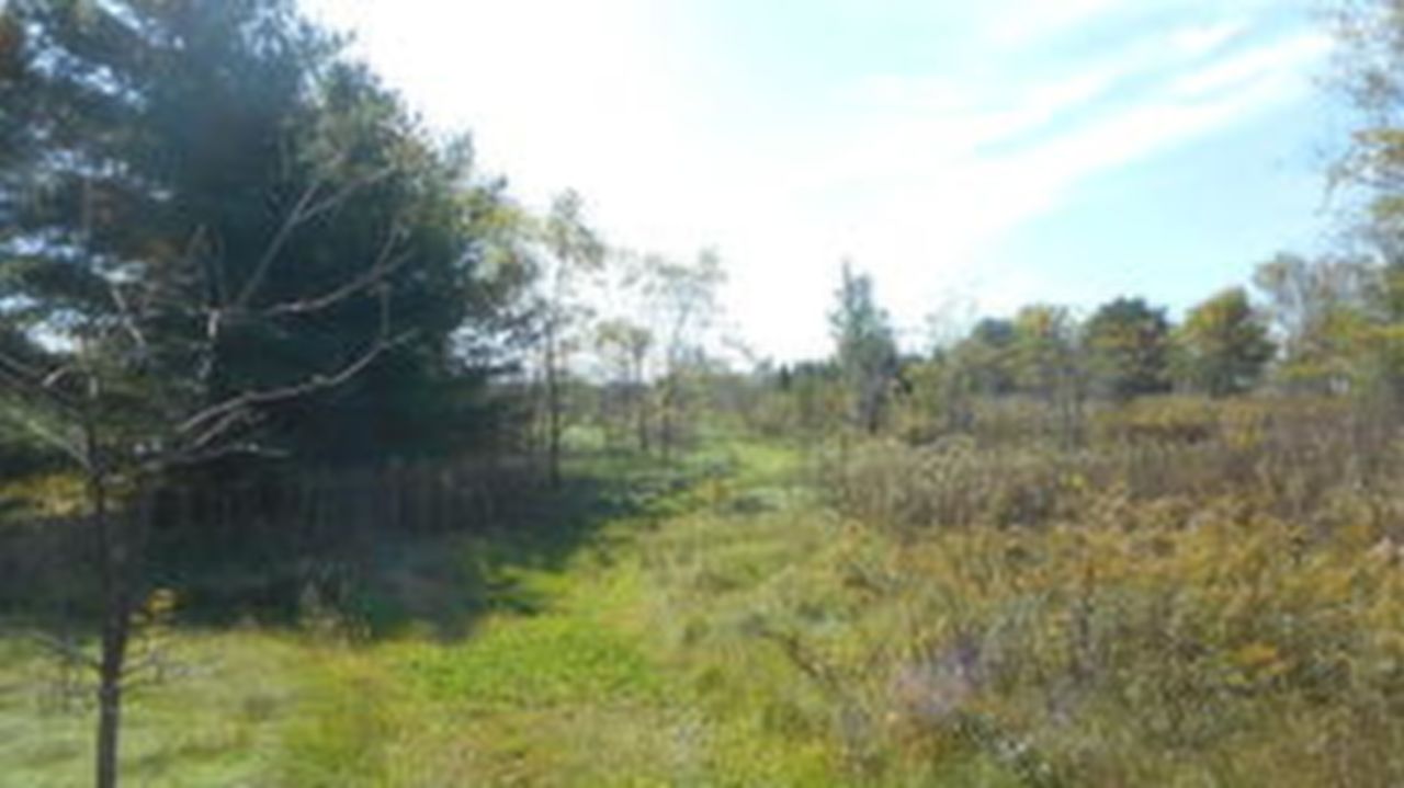 Lot #1 East River Bay Rd, Waterford, WI, 53185 Scene 2