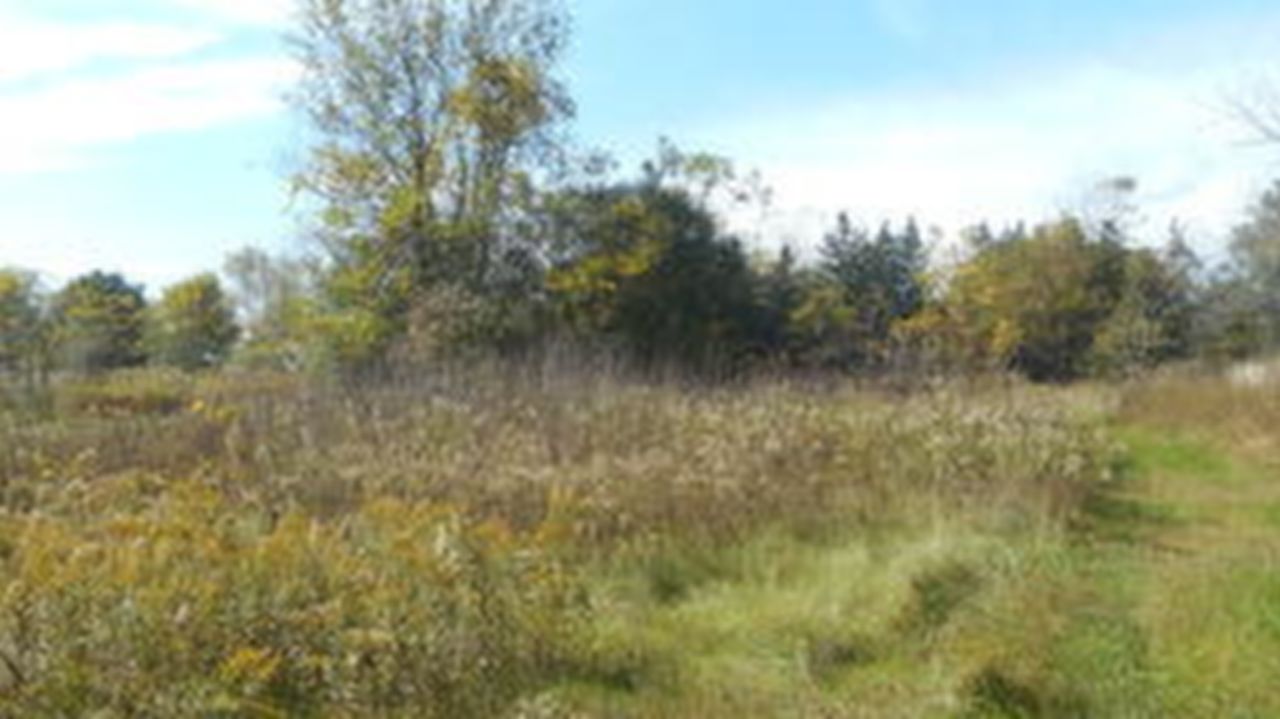 Lot #1 East River Bay Rd, Waterford, WI, 53185 Scene 4