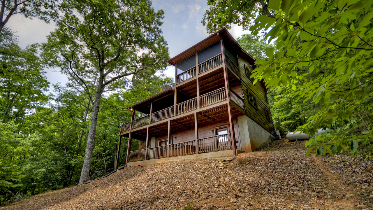 305 Martin Crossing, Blue Ridge, GA, 30513 Scene 4