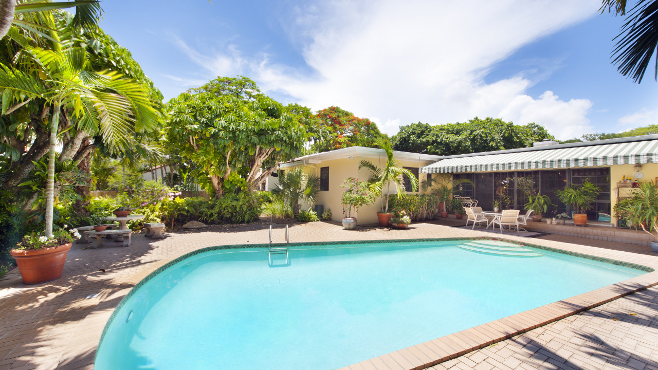 Pool and Patio