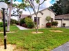 1711 Bent Tree Cir