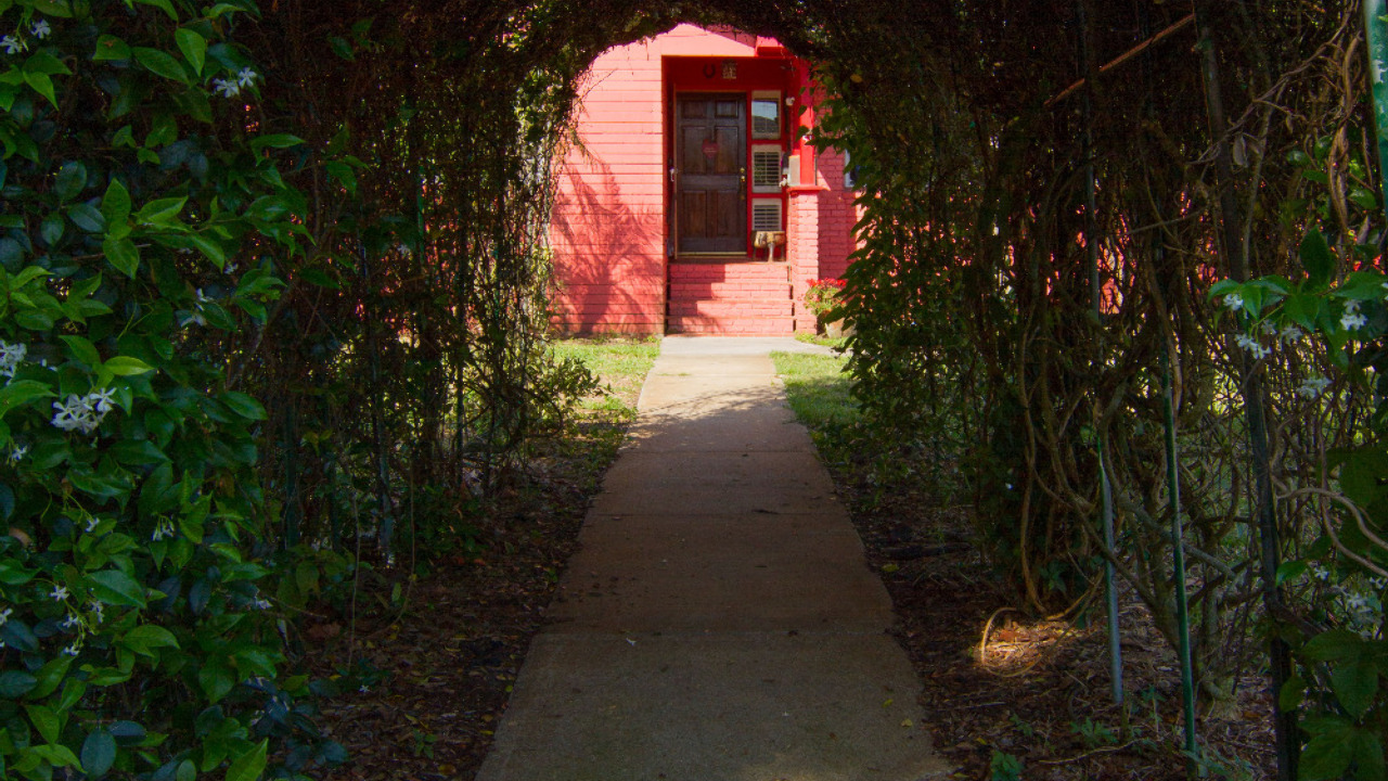 Enchanting Walkway