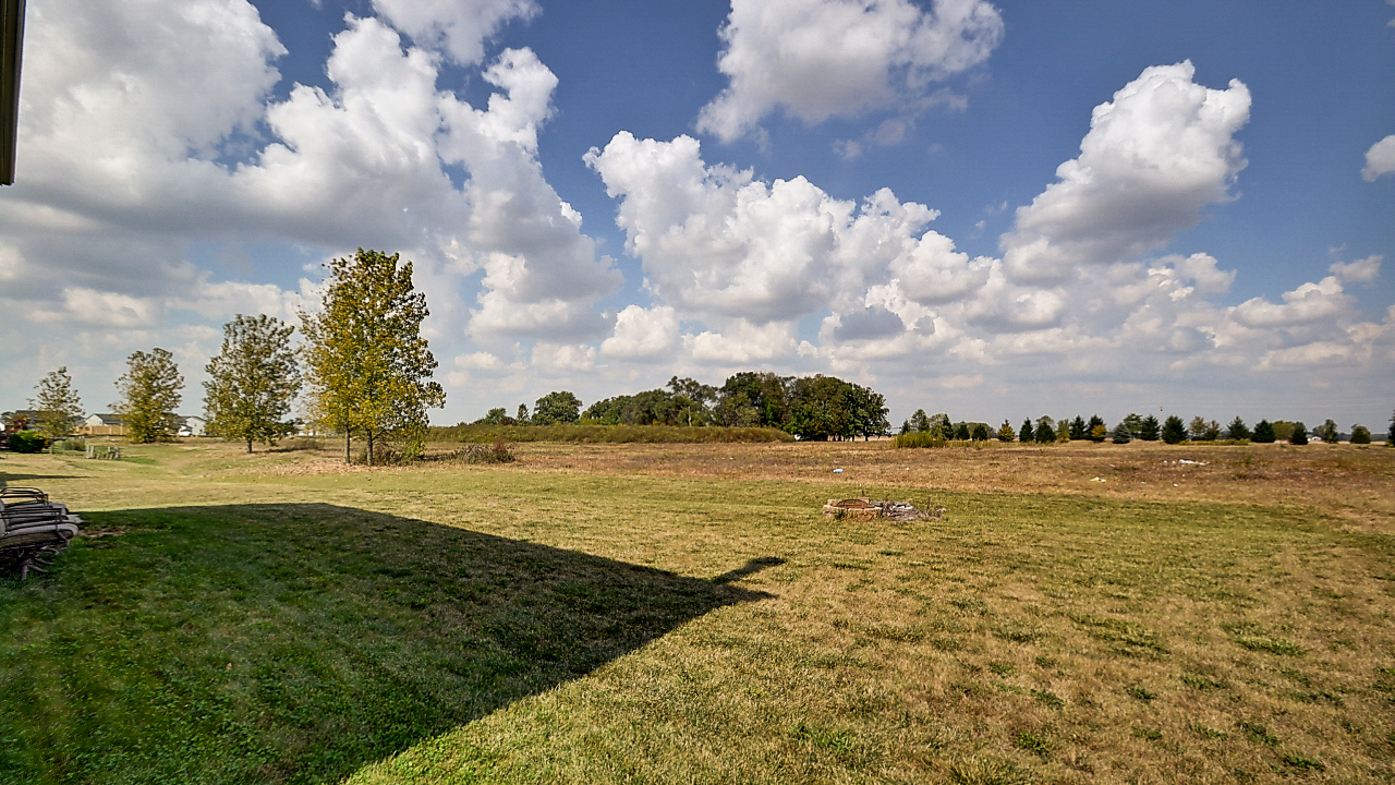 Rear Yard