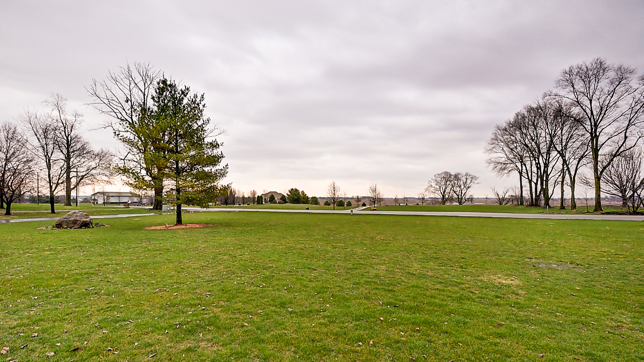 Front Yard