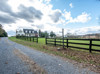 Front Driveway Pasture