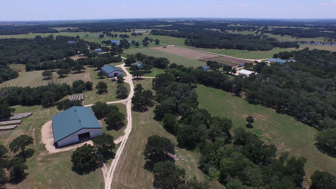 1,252 Acre Wire Tree Ranch