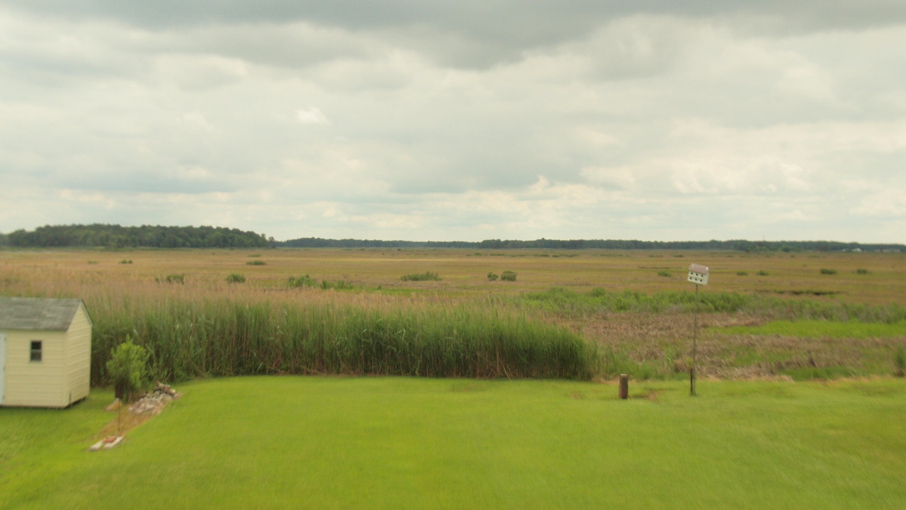 View of the Refuge