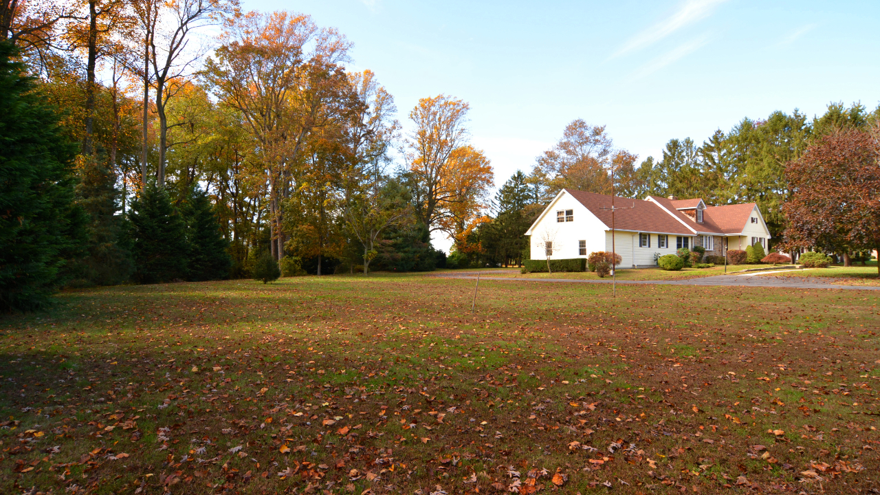 Side Yard