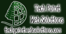 Tech Point Web Solutions Logo